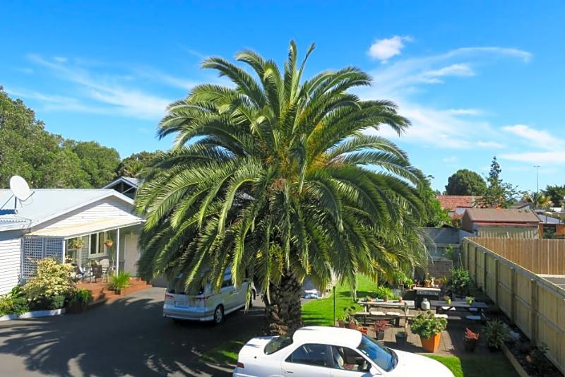 Roselands Motel Tauranga Exteriér fotografie